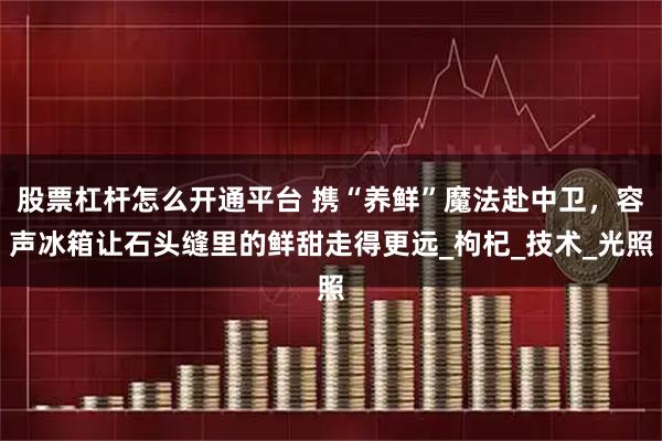 股票杠杆怎么开通平台 携“养鲜”魔法赴中卫，容声冰箱让石头缝里的鲜甜走得更远_枸杞_技术_光照